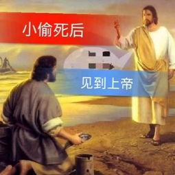 深情不敌久伴,久伴更显深情珍贵