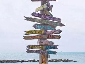 这里可是佛罗里达,阳光之州的热带魅力与多元风情