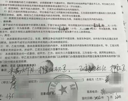 出租屋的千万合同,全方位解读租赁条款与权益保障