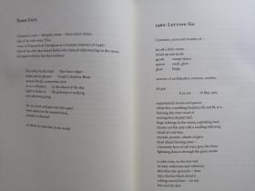 危险卧底（英语版）,Unmasking the Undercover: A Thrilling Overview of 'The Dangerous卧底'